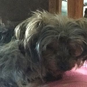 Meet your Posher, Ruby